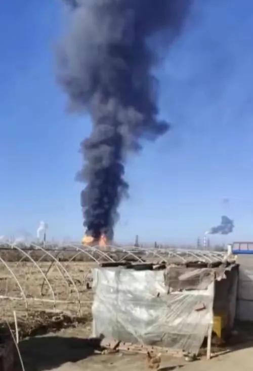 盘锦，地方文化与生态发展的融合研究探索